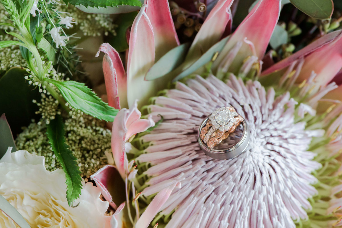 A Diamond wedding band inside a giant protea before the south tampa wedding