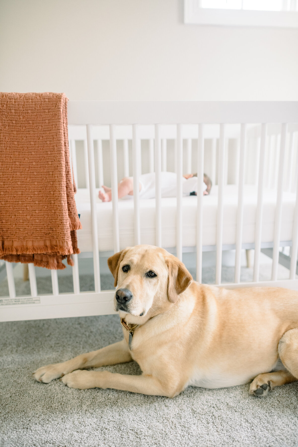 Clell Newborn _ Bloom Photography-39