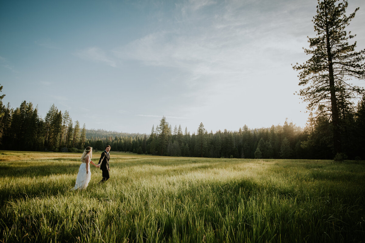 Groom leads bride by the hand further into forest meadow.