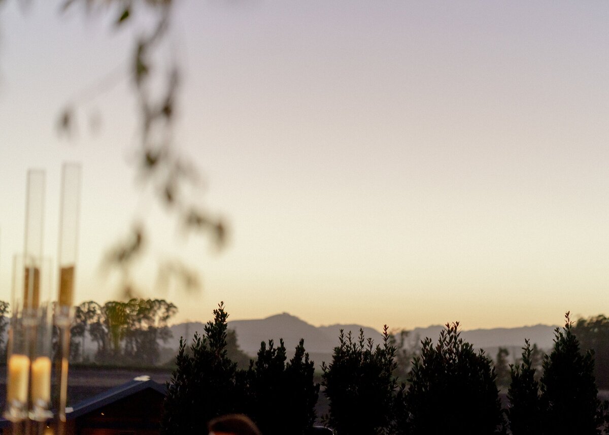 Stanly Ranch Napa Wedding_Brittney Vlad_Lauren Fair143