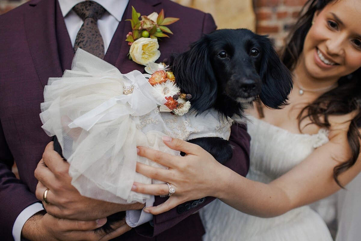 Nicole_Carlos_wedding_ridgeandramble-6826