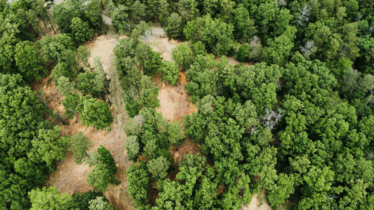 dji_fly_20230510_114942_32_1683737647429_photo_optimized