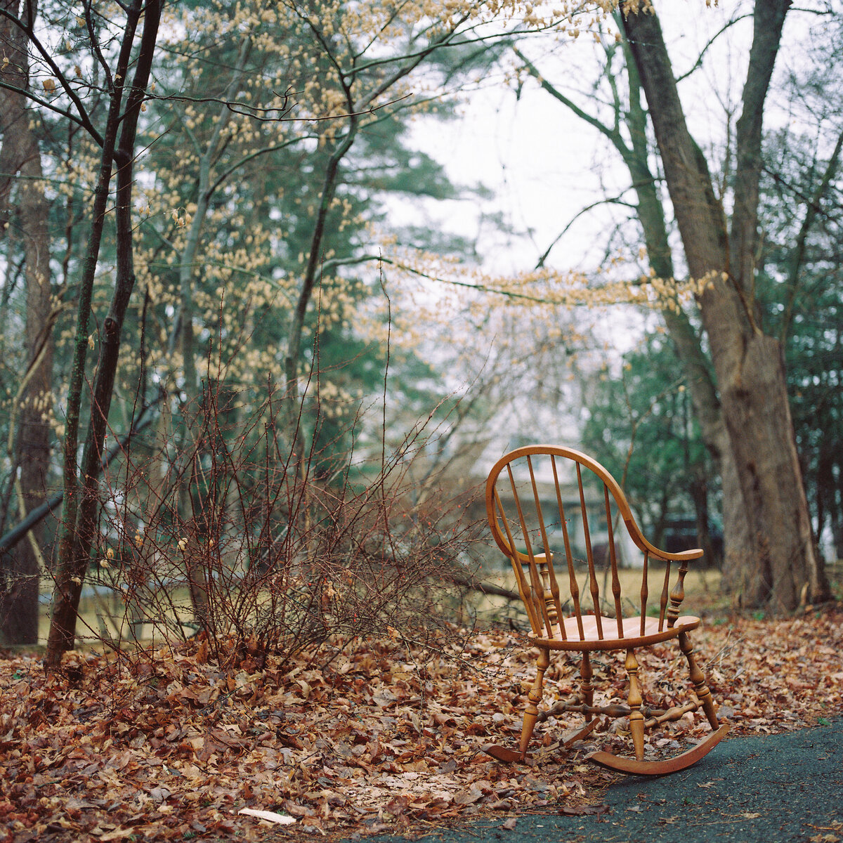 westwood-new-jersey-jamie-shields-photography-1