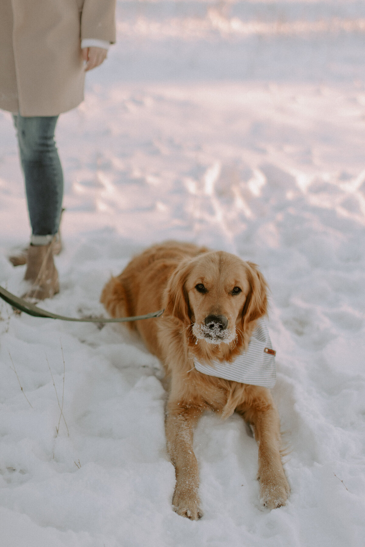 AhnaMariaPhotography_Engagement_Colorado_Heather&Chris_Film-6