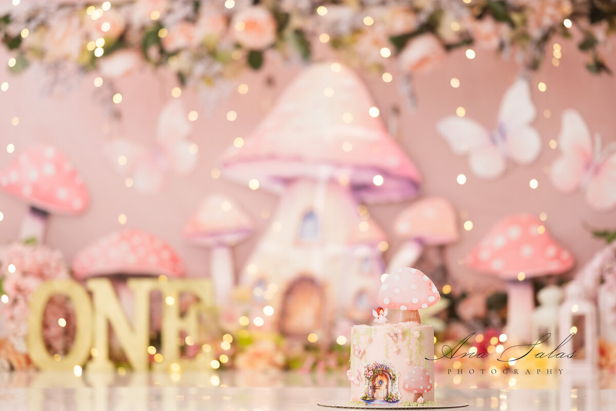 Fairy Garden Theme Cake Smash Photographer Edmonton