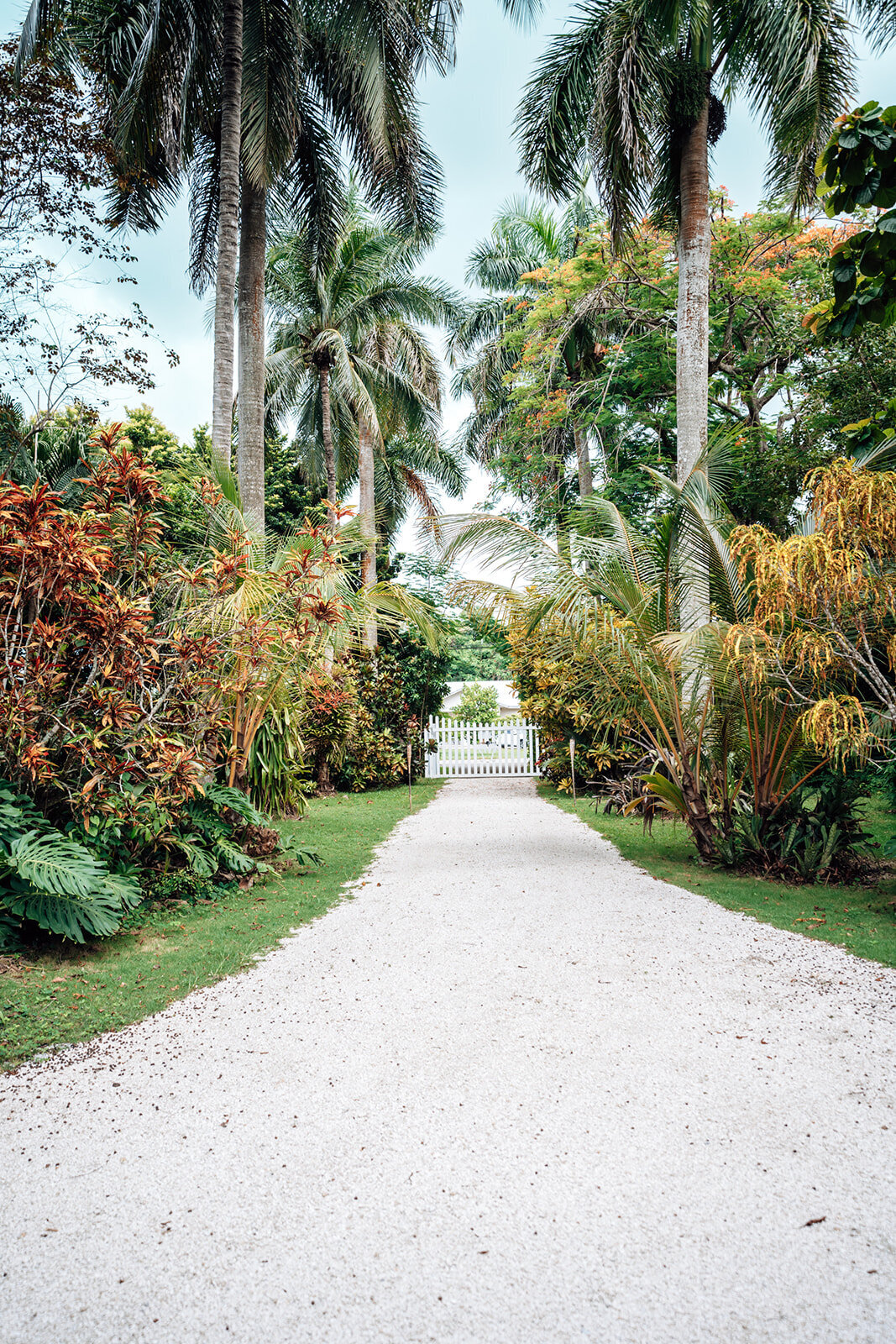 historic-palm-lodge-wedding-venue (8)