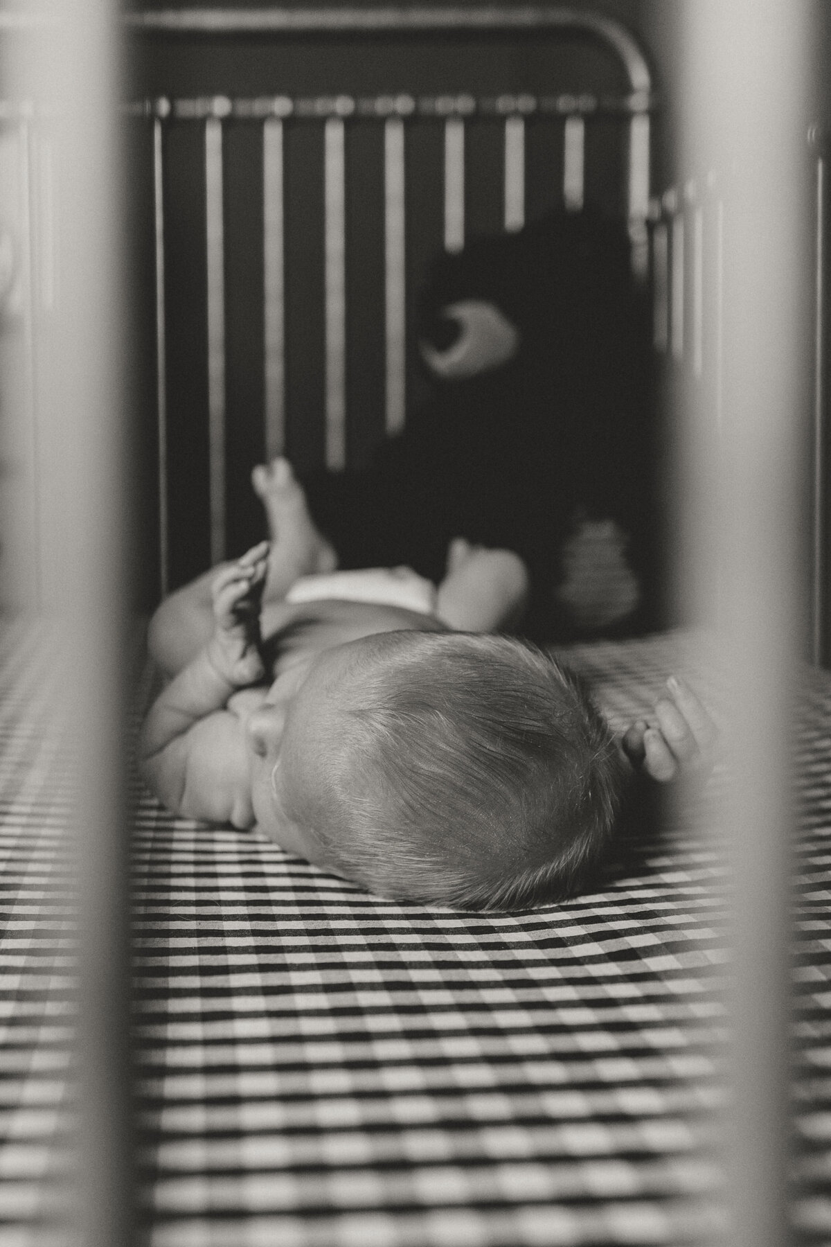 Longmont colorado newborn sitting in crib next to stuffed bear