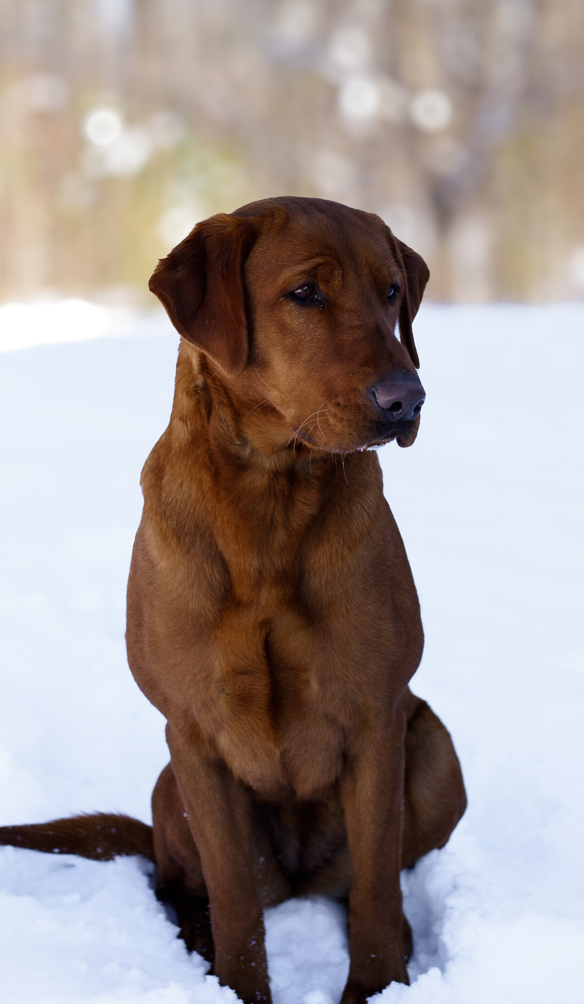 ruby