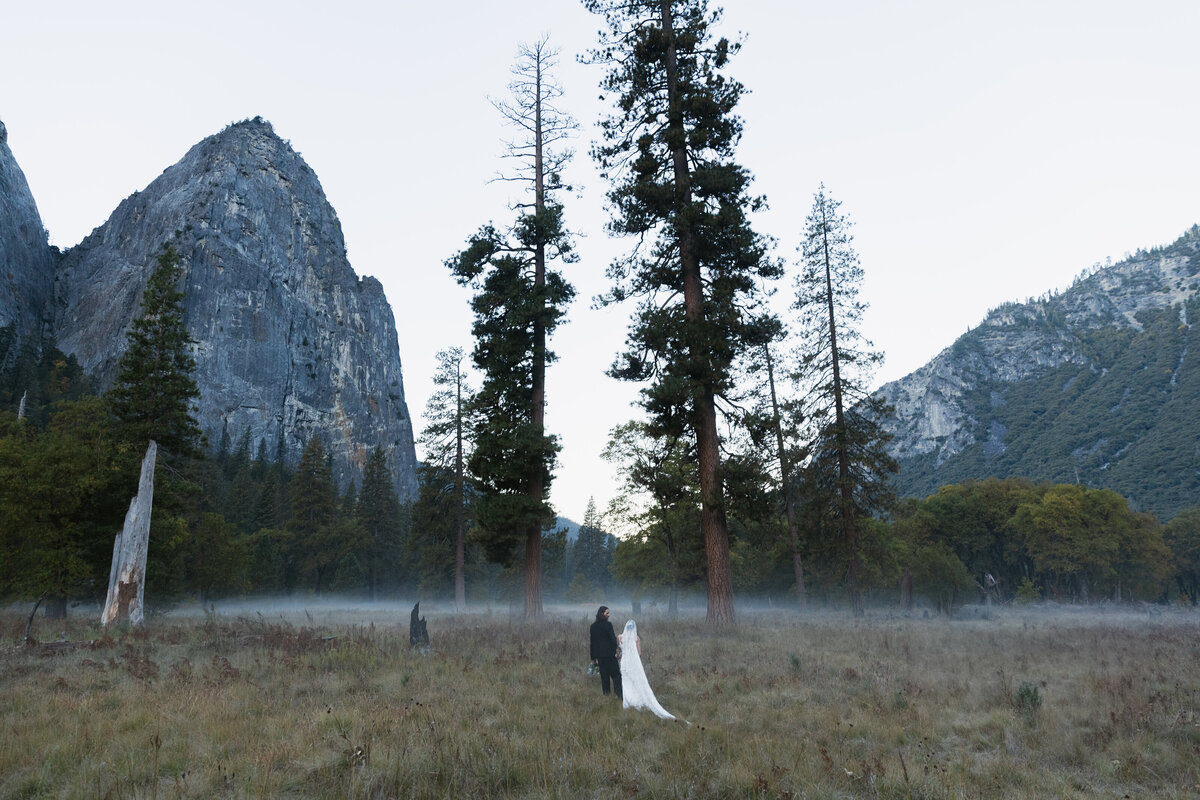 Yosemite_Lauren New Photography-9