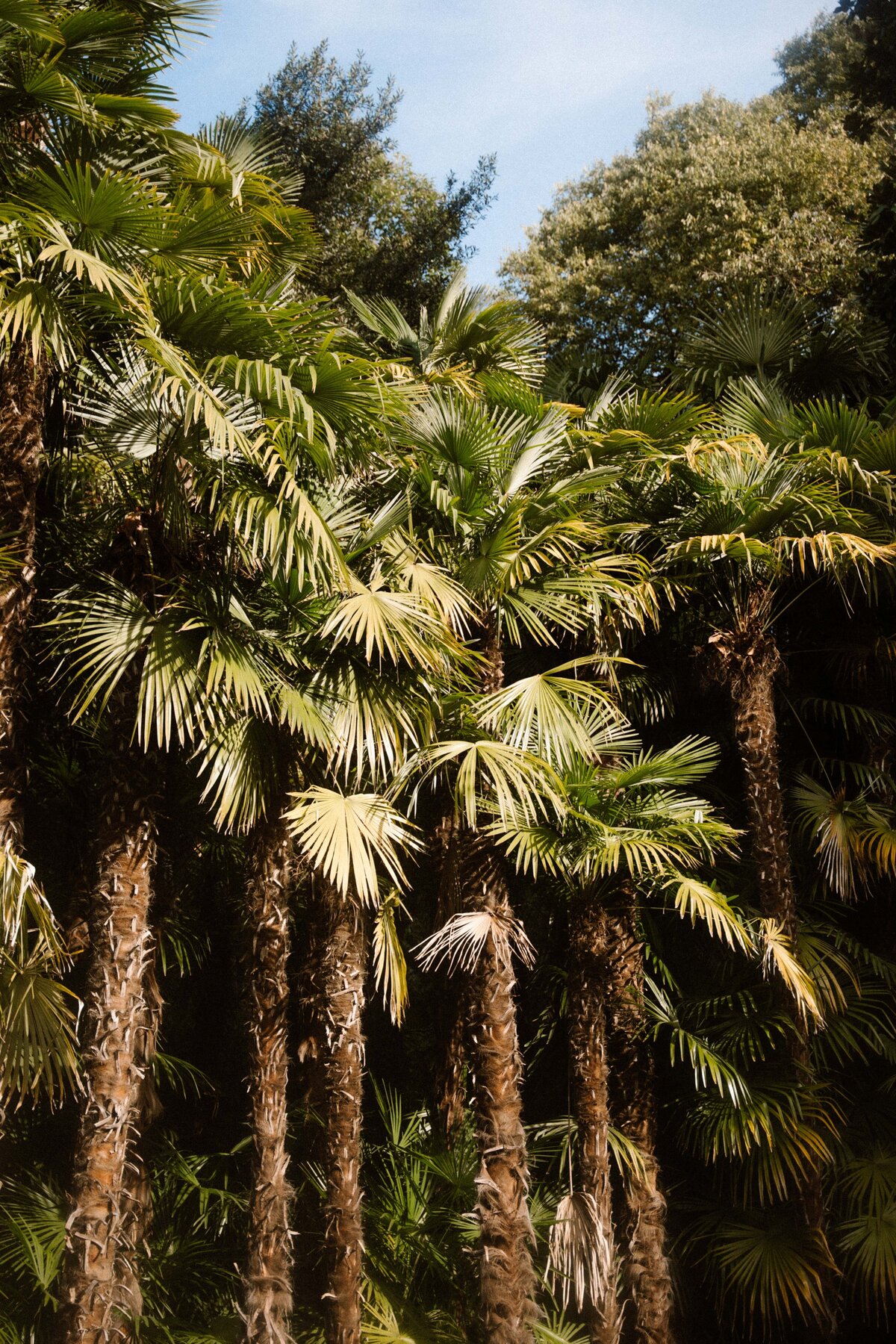 Wedding_Photographer_Esther_Villa_Pizzo_Lakecomo-12
