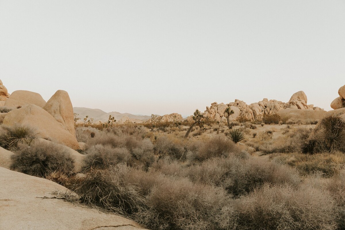 Joshua-Tree-Elopement-28