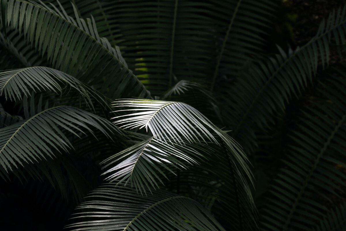 payson-wick-0gNVyfQMRVI-unsplash