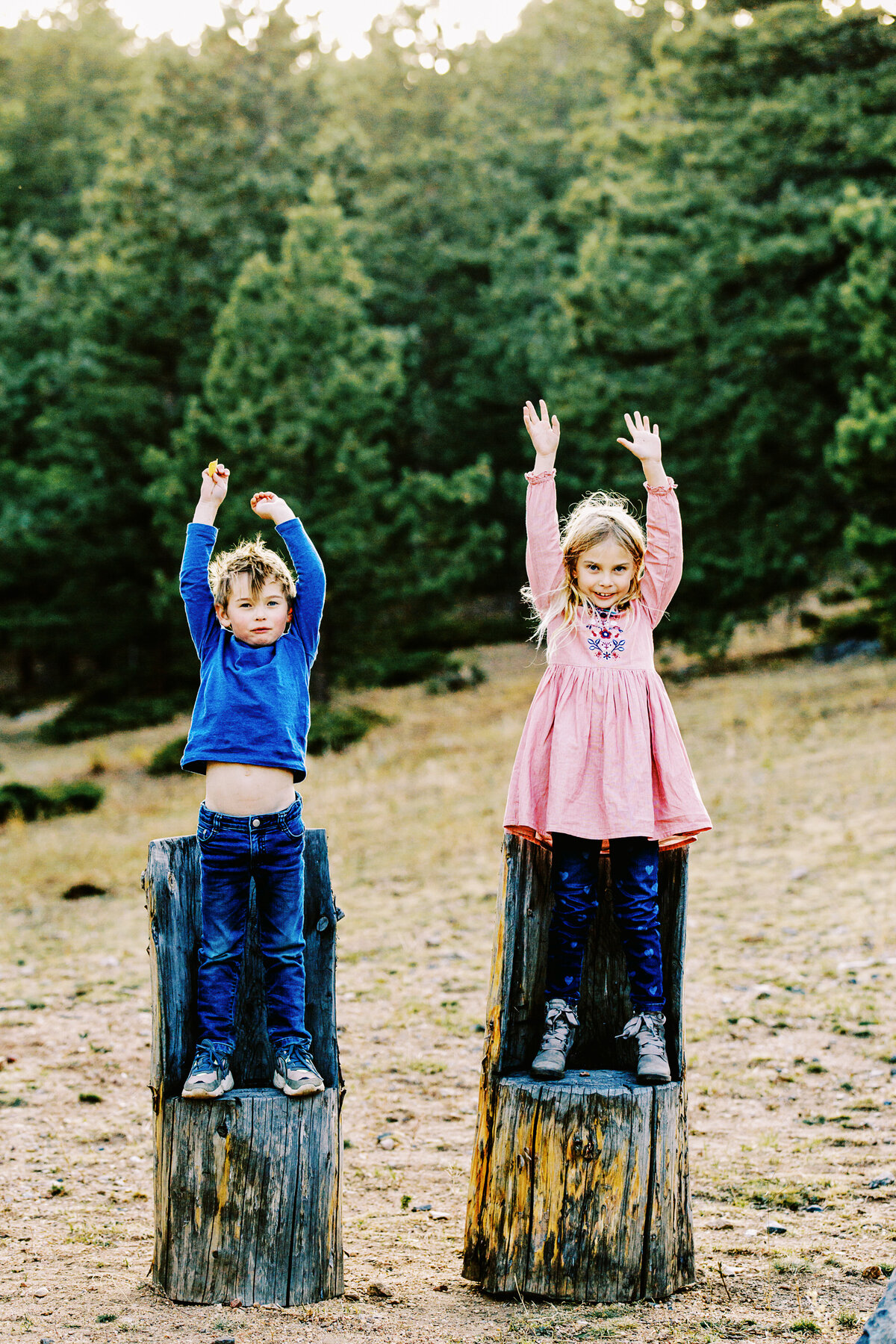 colorado children raise hands while standing on tree stumps