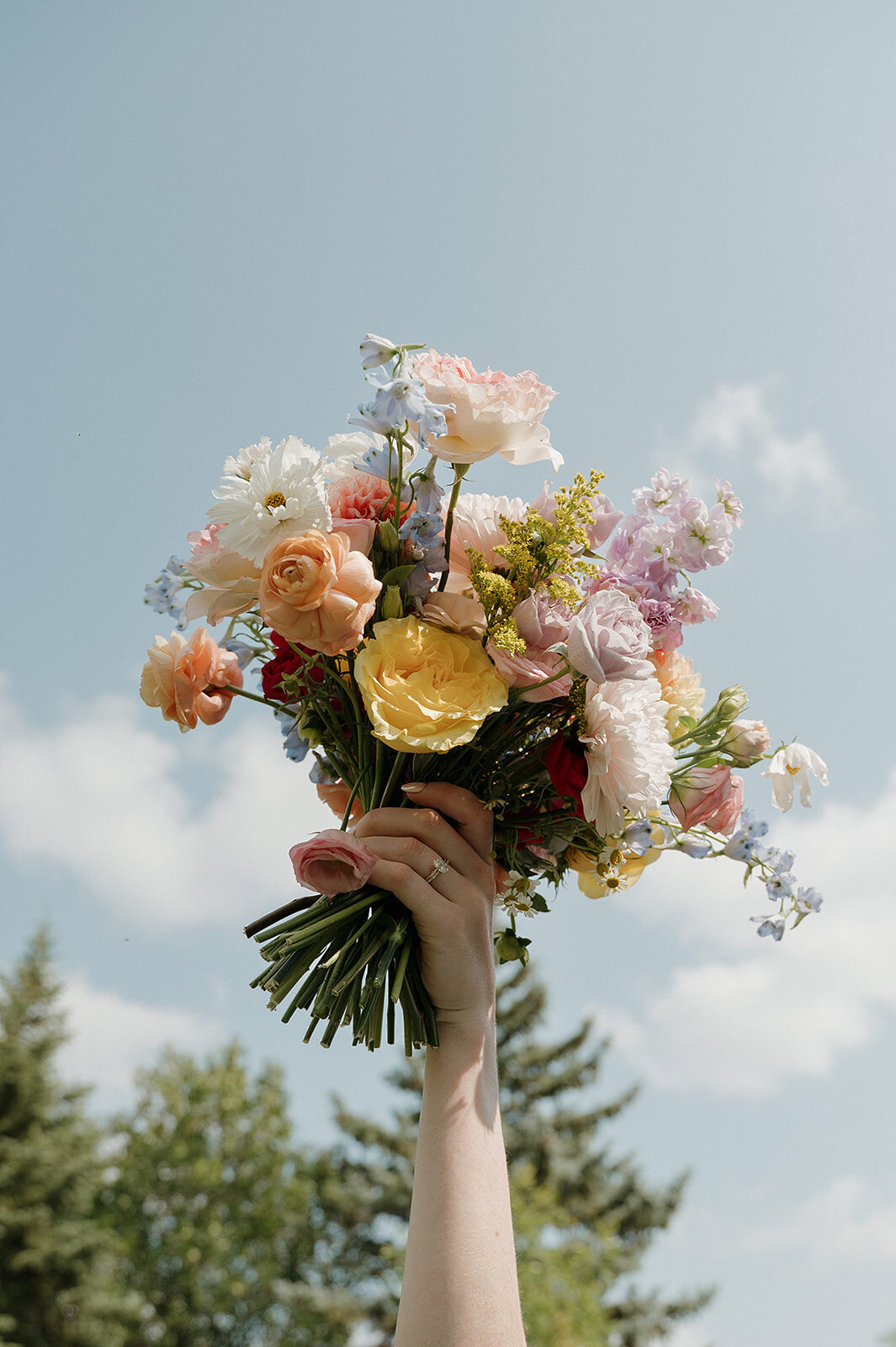 Winnipeg-Wedding-Photographer-5