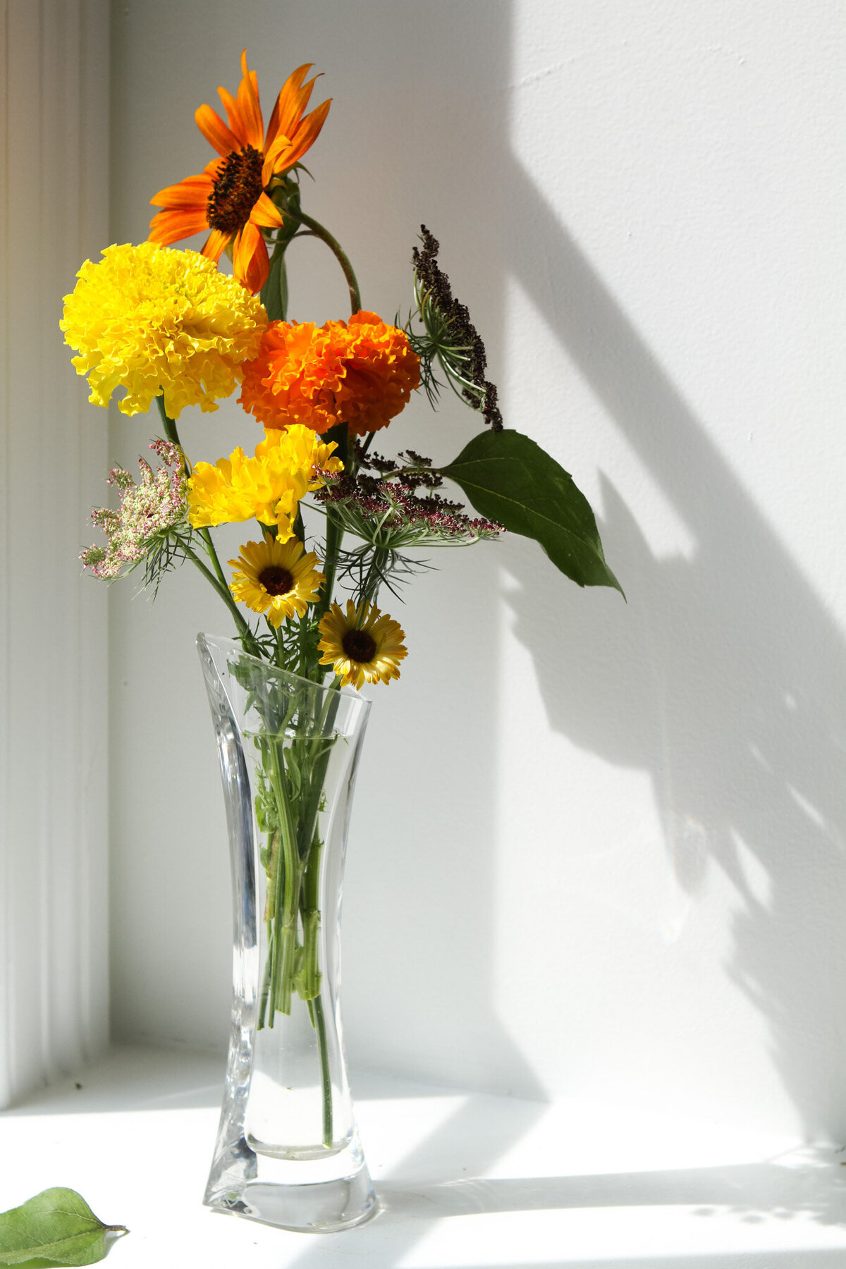 marigolds-garden-flowers