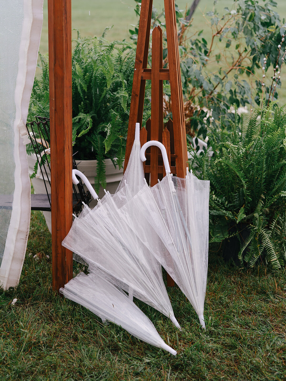 240518_PatrickEmilyWedding_Preview_233