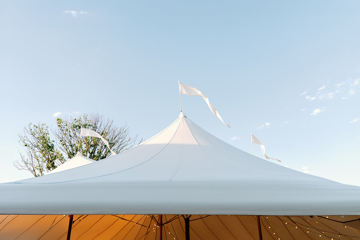 Summer-Whitechapel-Projects-Wedding-DC-Wedding-Photographer (158)