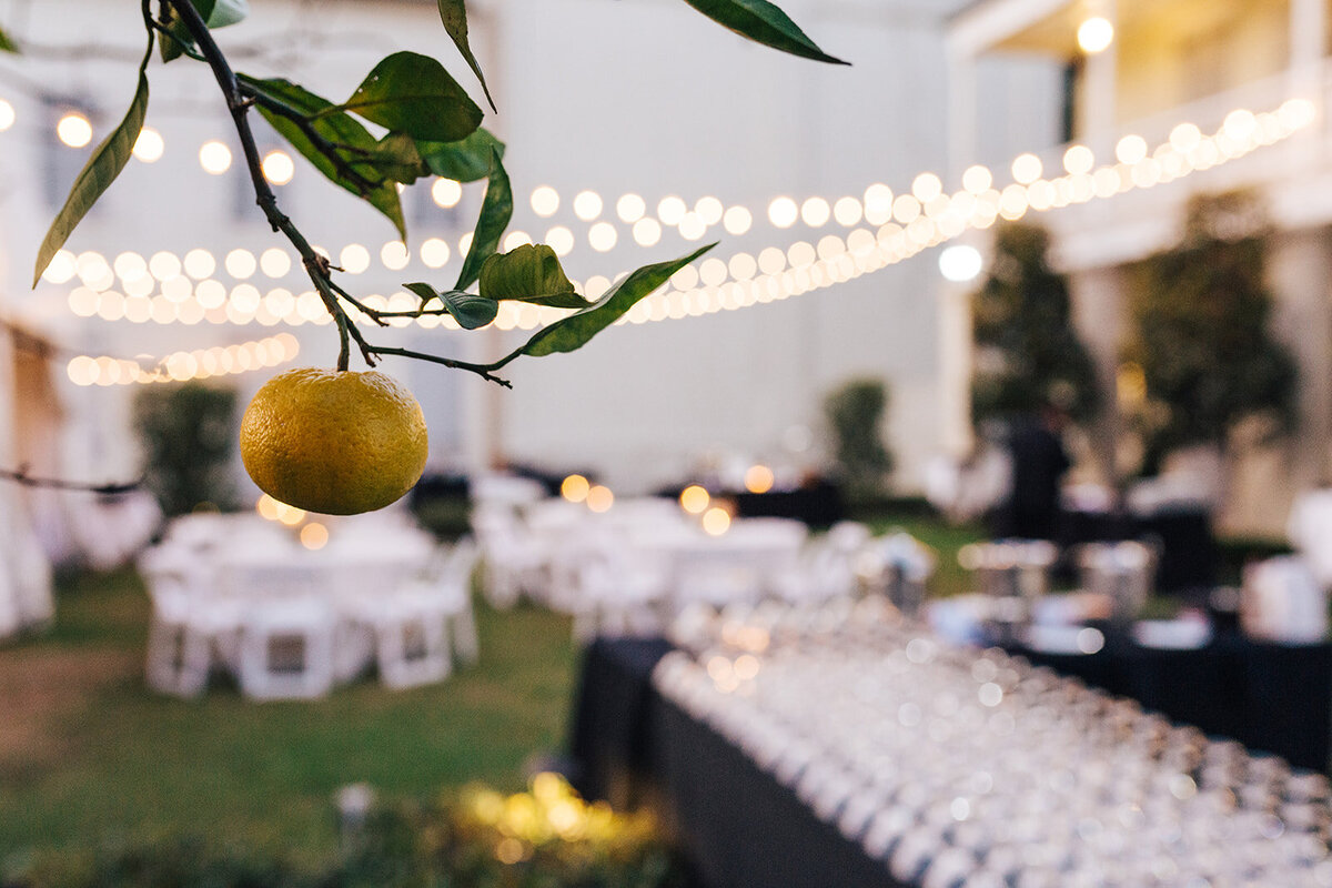 RECEPTION-DETAILS_34_websize