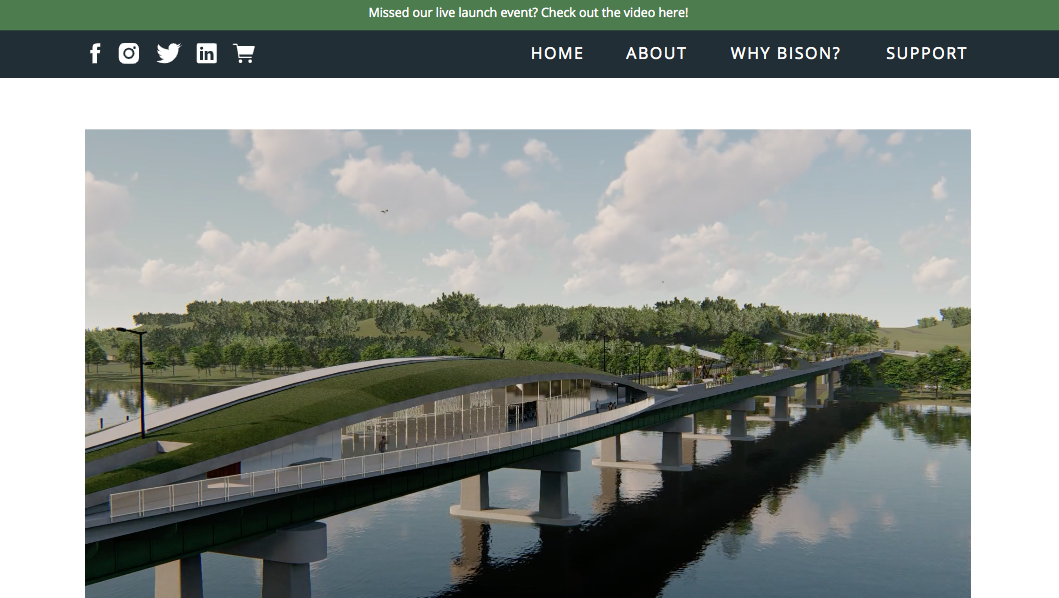 Bison Bridge Foundation Website