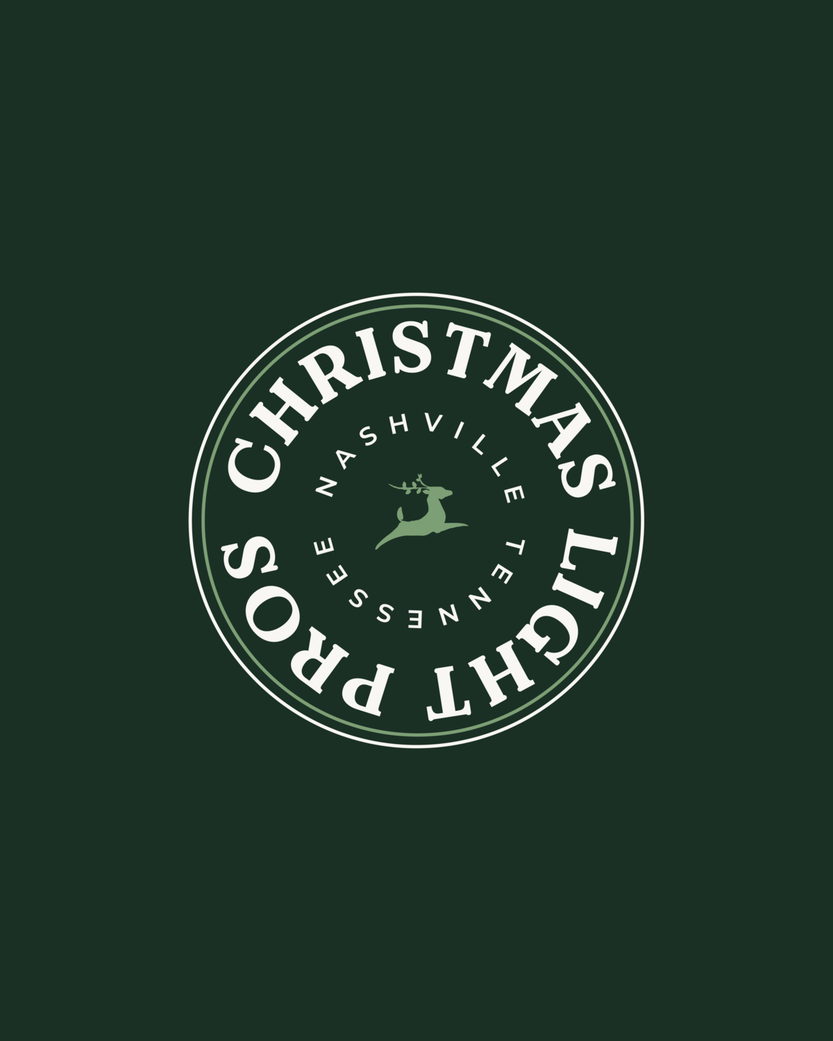 Christmas Light Pros