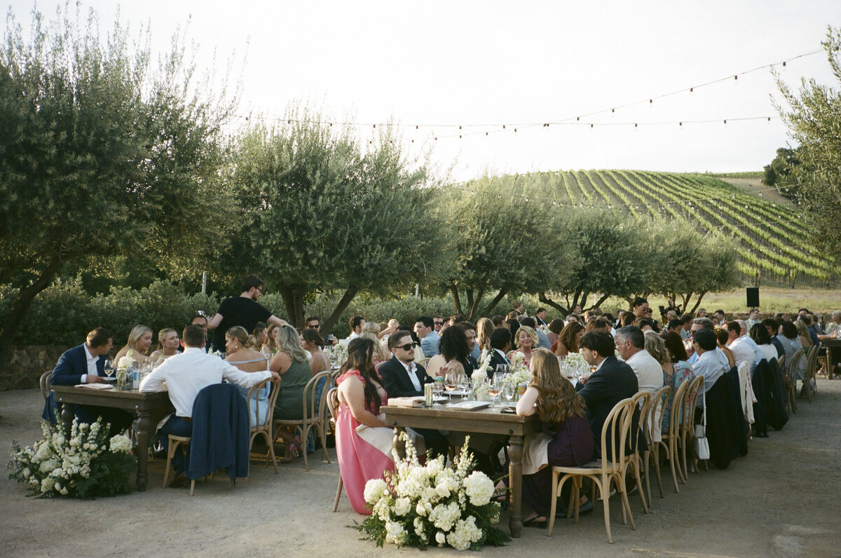 Film Paso Robles Wedding Photographer-1