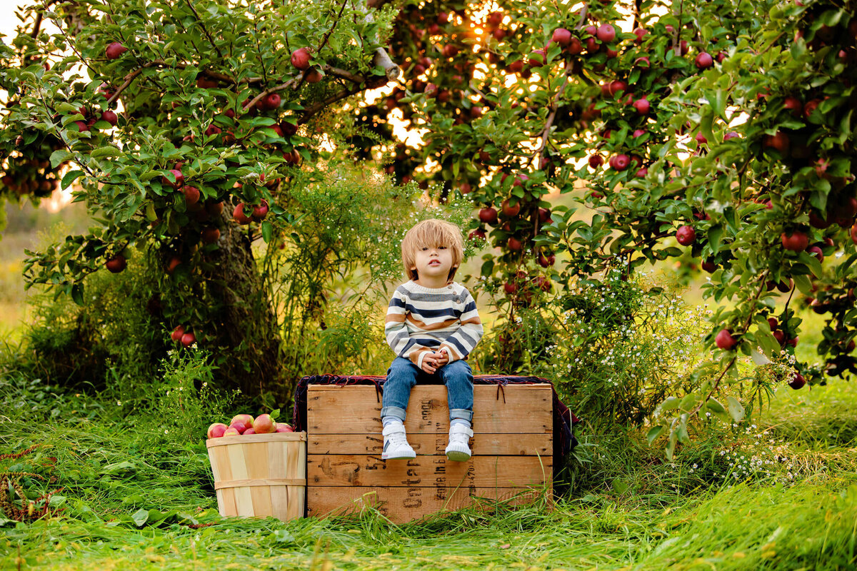 little boy holding an apple sitting on an apple crate for his Burlington fall family photos