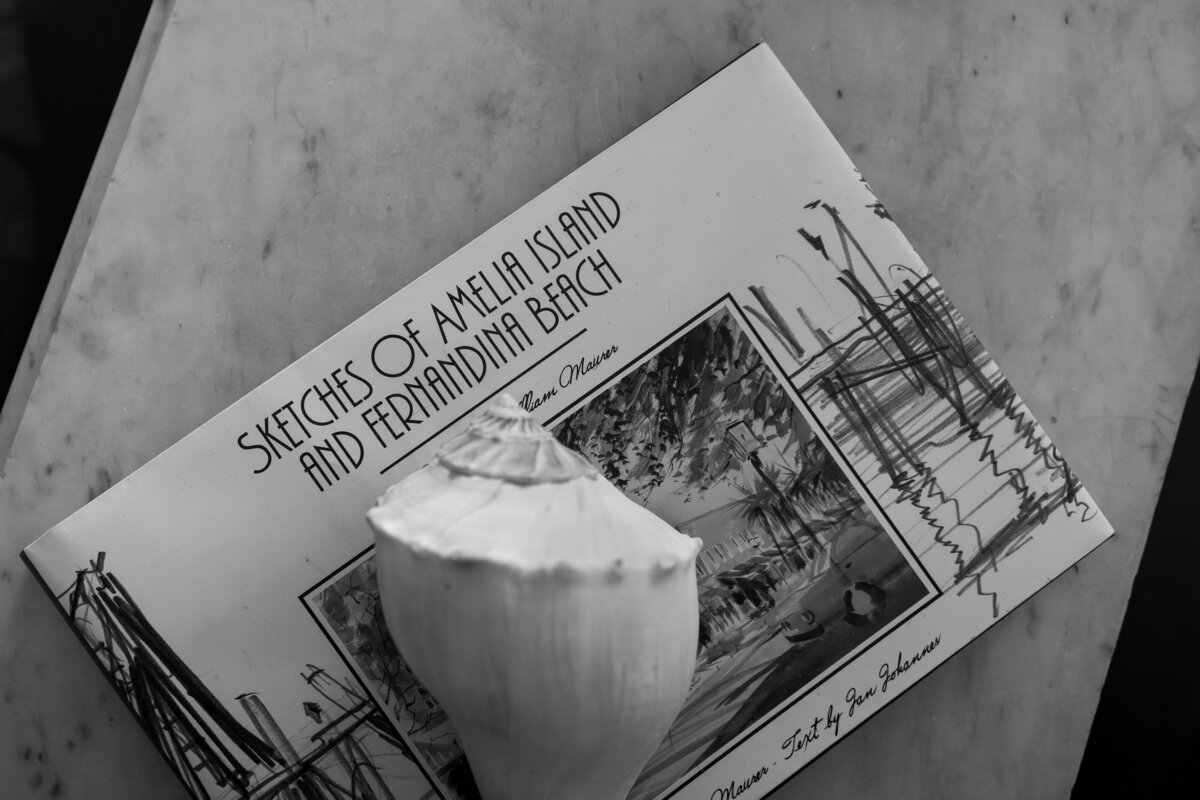 detail photo of seashell and a book about amelia island florida taken by shelby ann photos