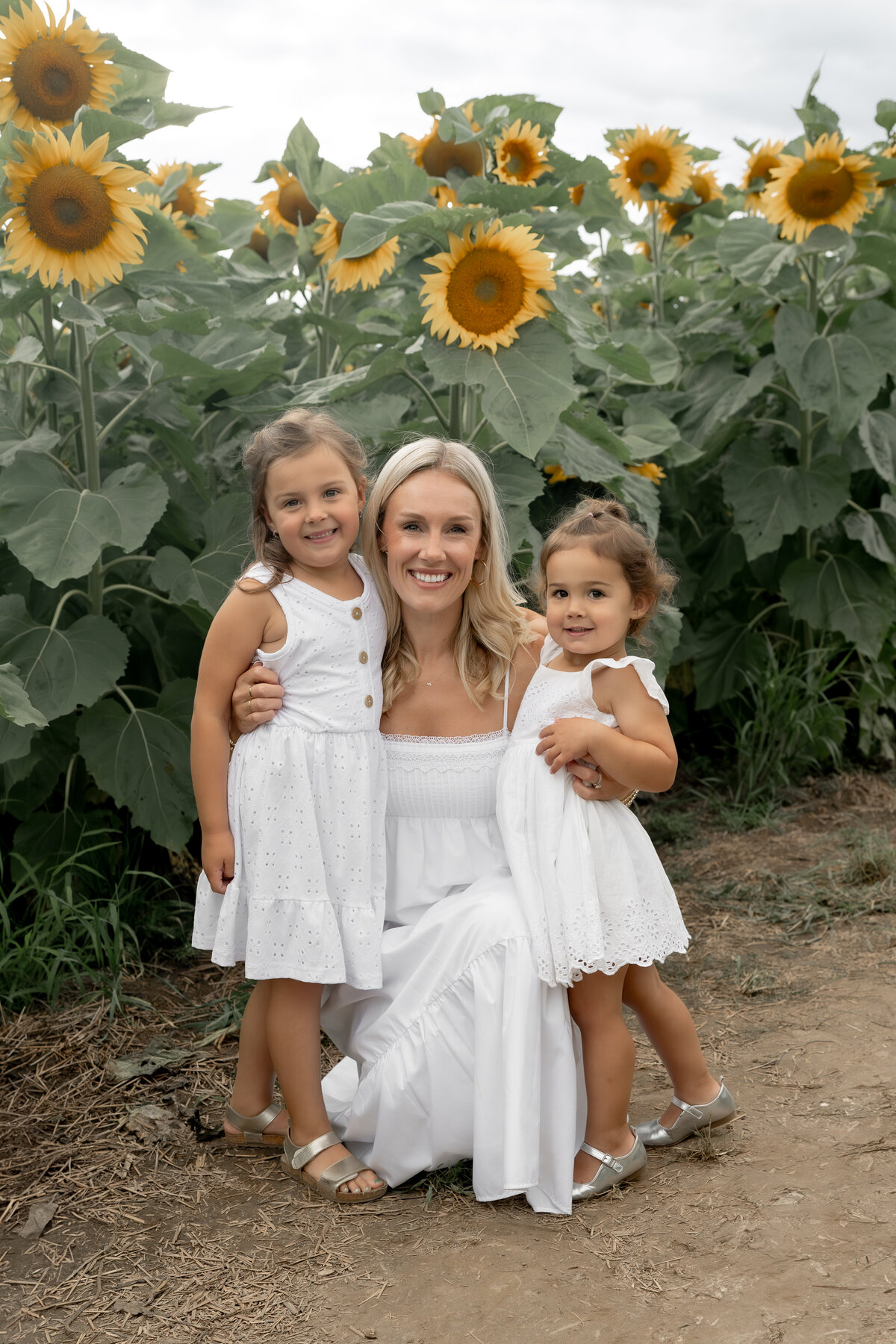 Sunflower Minis - Nadine-5