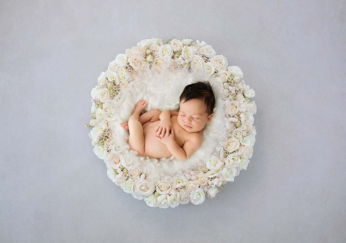 newborn in flowers248