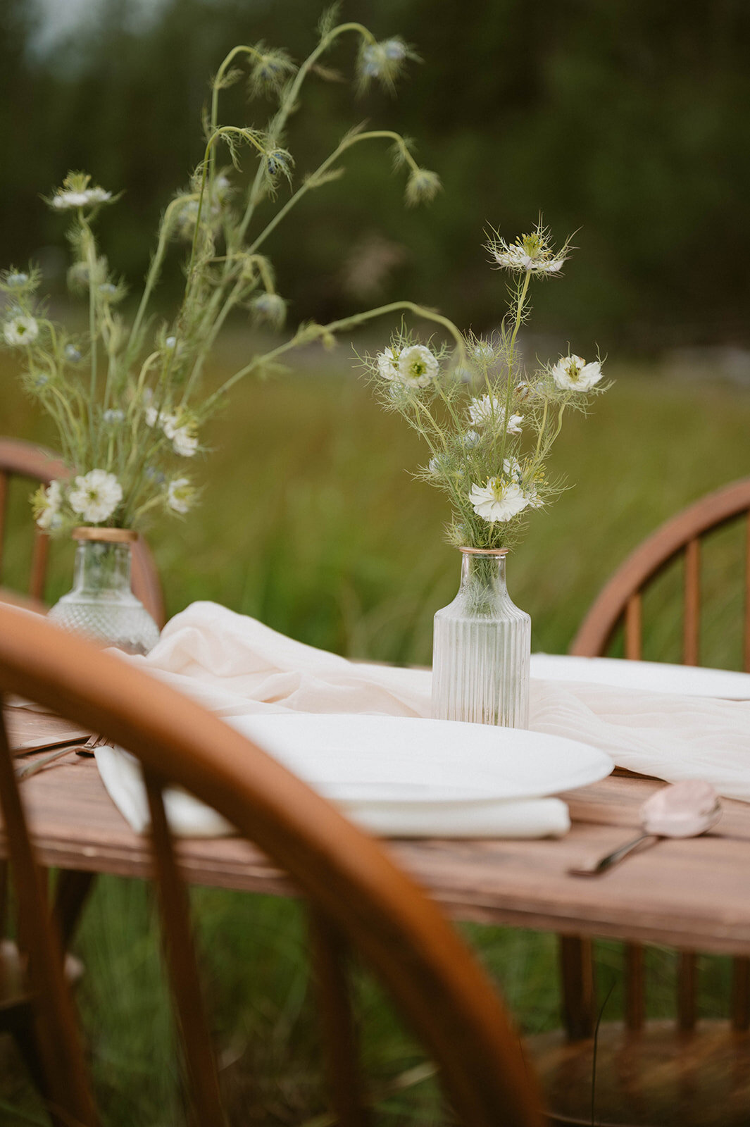 07-21-25_Daisy & Walker_Ekutna Lake_PRPLLC-29