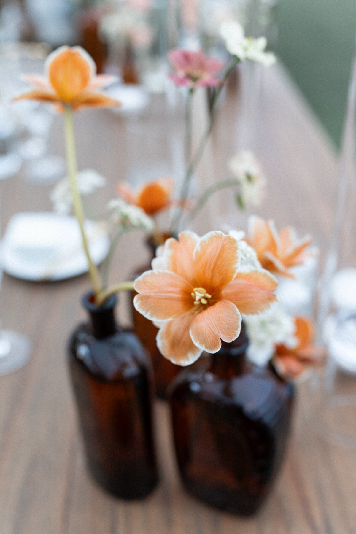 Virginia Wedding Photographer Hannah Malloy-100