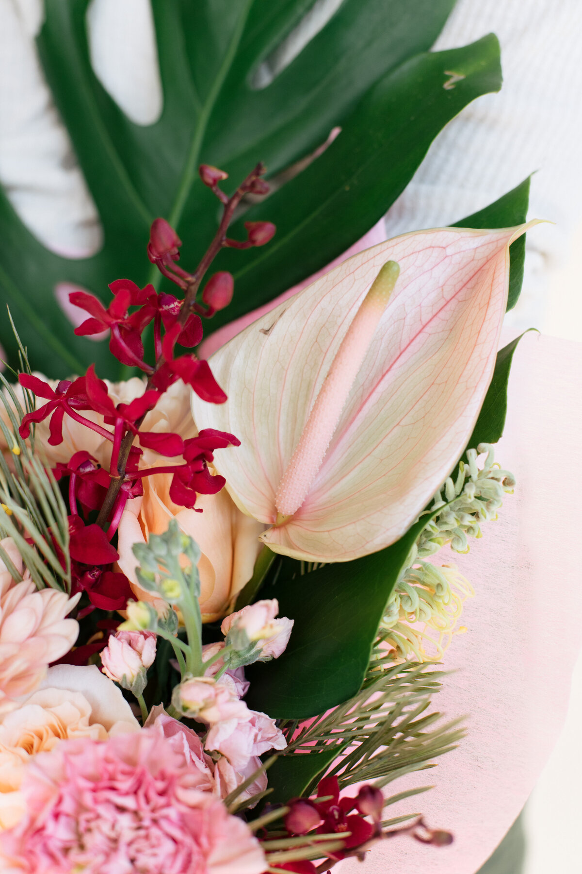 Diosa-Blooms-April-2021-8175