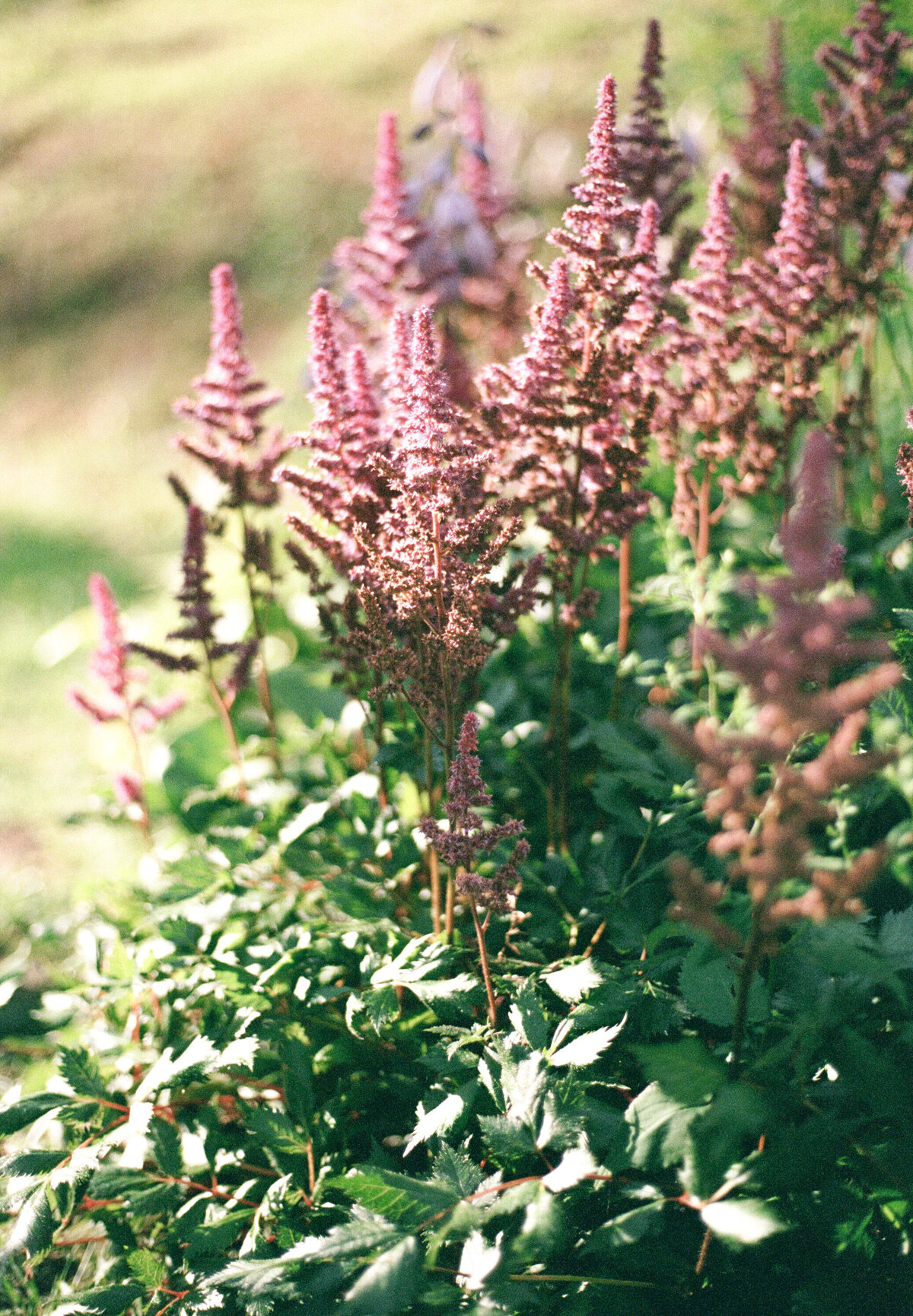 new_england_couples_photos21