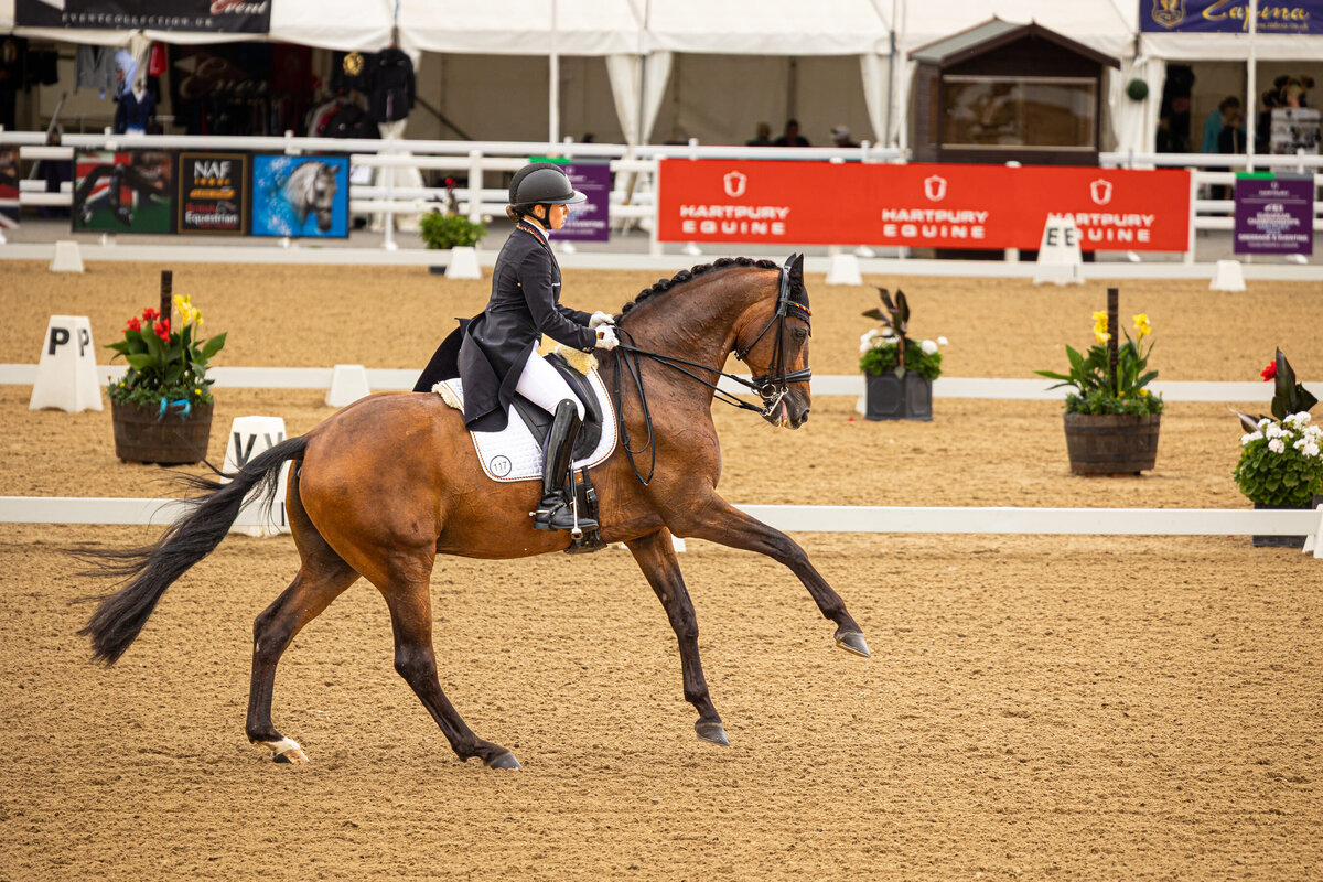 dressage horse doing flying change in competition