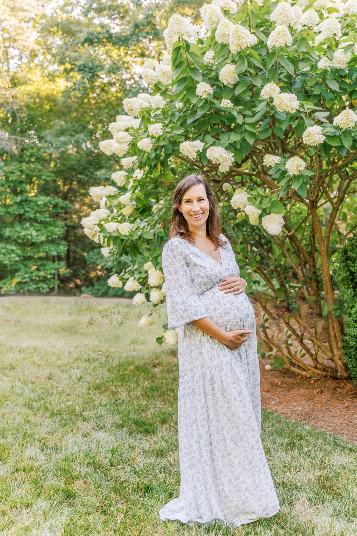 Summer maternity photography session in front of hydrangeas