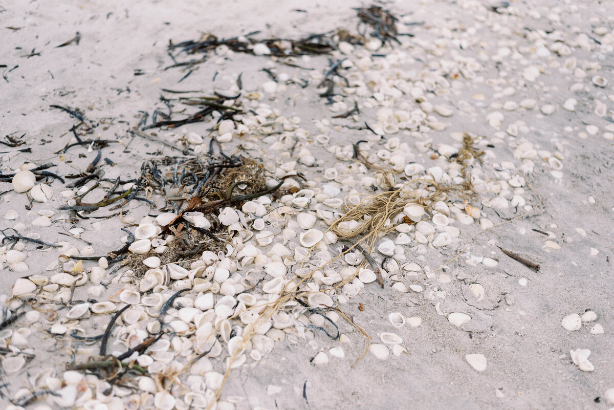 SanibelIslandFloridaWedding_TaylorNicollePhoto-43