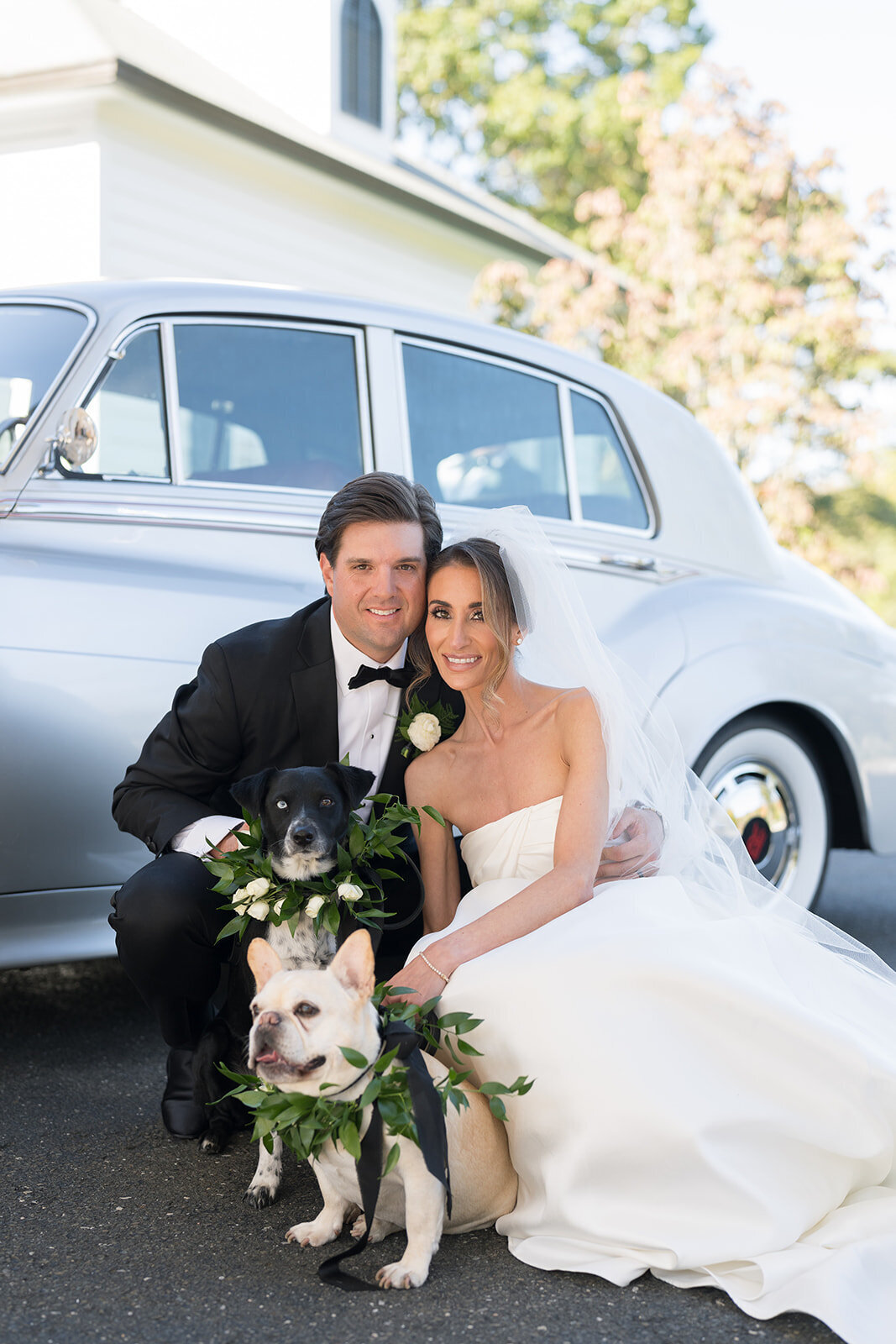 wedding-pet-portrait-photography-stamford-ct