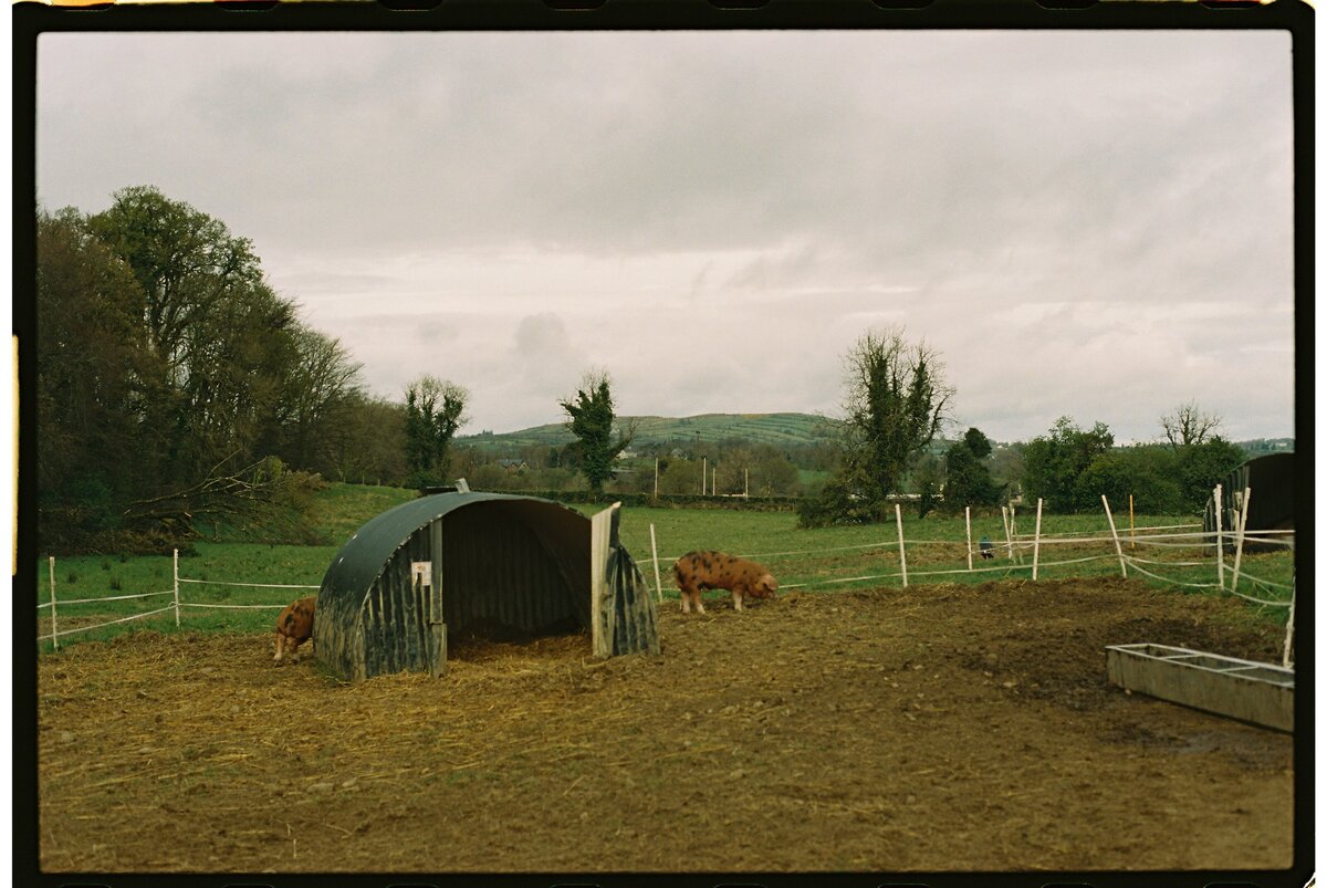 vermont film photographer 2