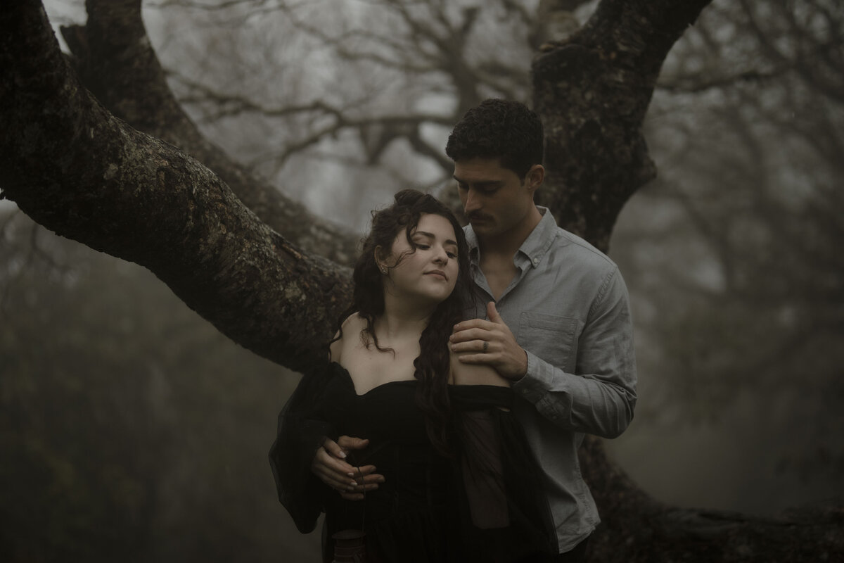 smoky mountain photographer (14)