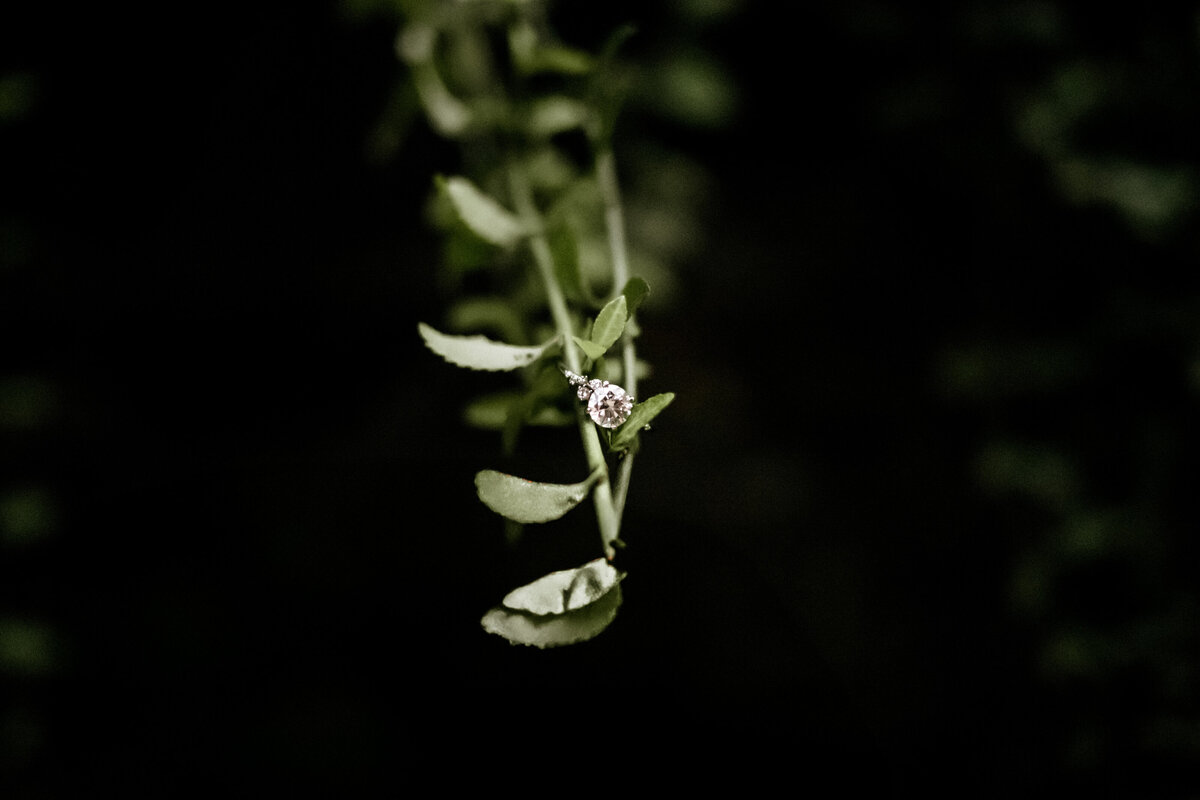 Salem VA wedding and Elopement photographer earthy and moody Charleigh Roberts Photography artsy earthy moody virginia roanoke va east coast north carolina nc pearl veil babys breath kiss happy blue ridge mountains parkway lexington natural bridge alleghany county
