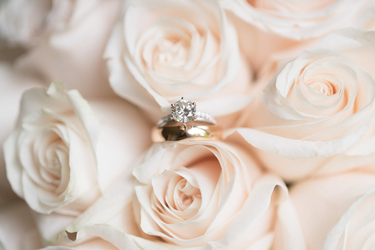 Rhea Whitney Photography-6