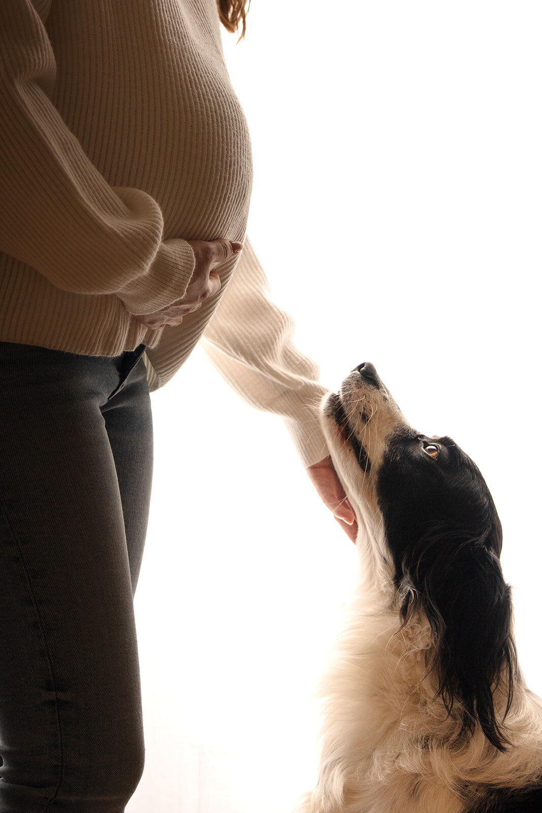 seance-photo-grossesse-en-famille-avec-chien73
