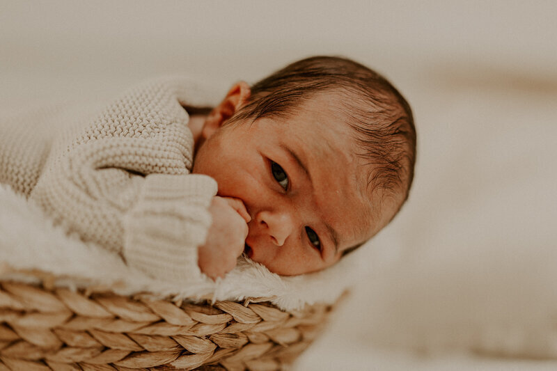 Bébé allongé sur le ventre dans un panier en osier douillet regardant l'objectif de Laura, photographe naissance en Vendée.