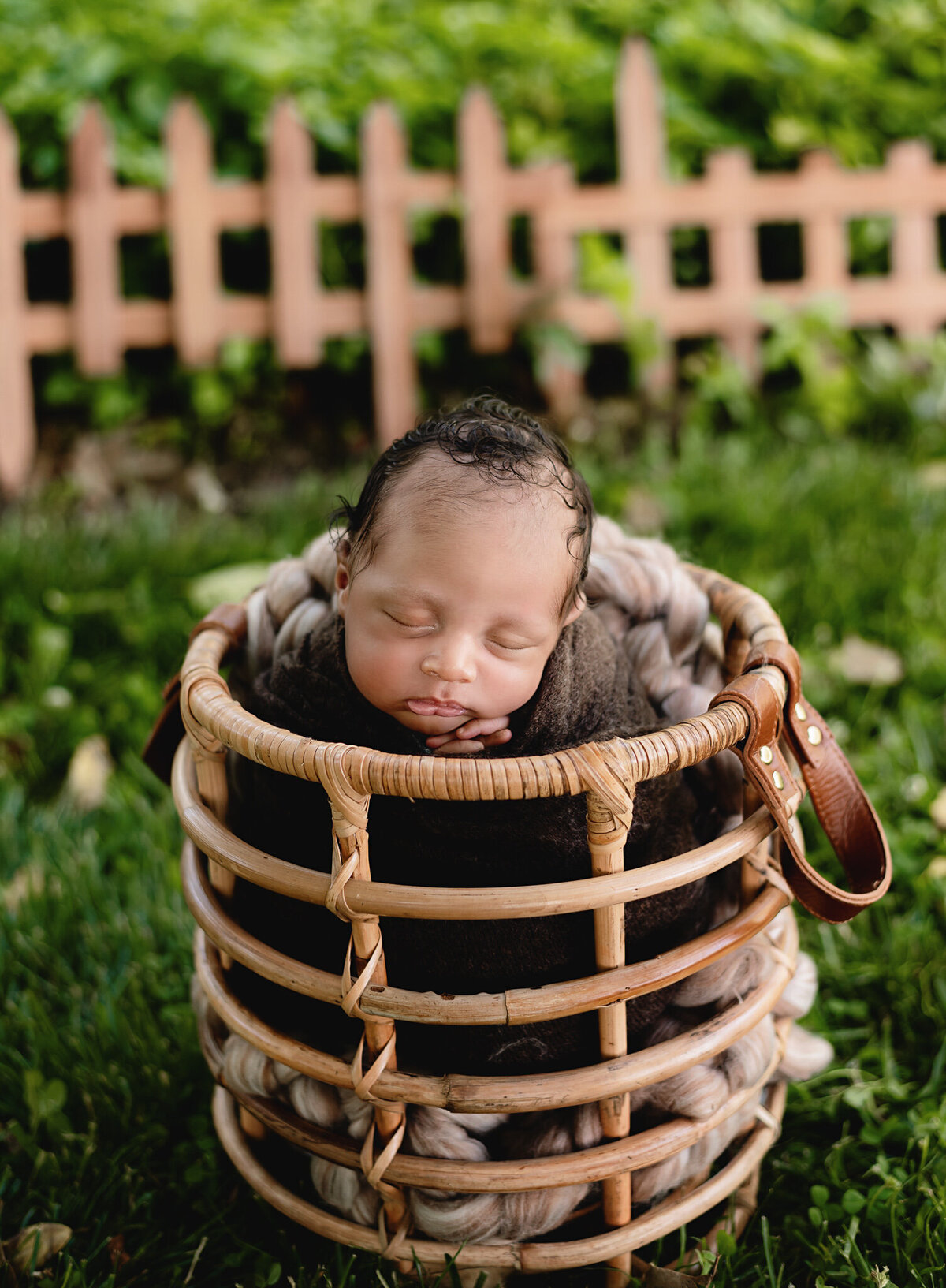 Infant boy sleeping in a basket at outdoor photo session.