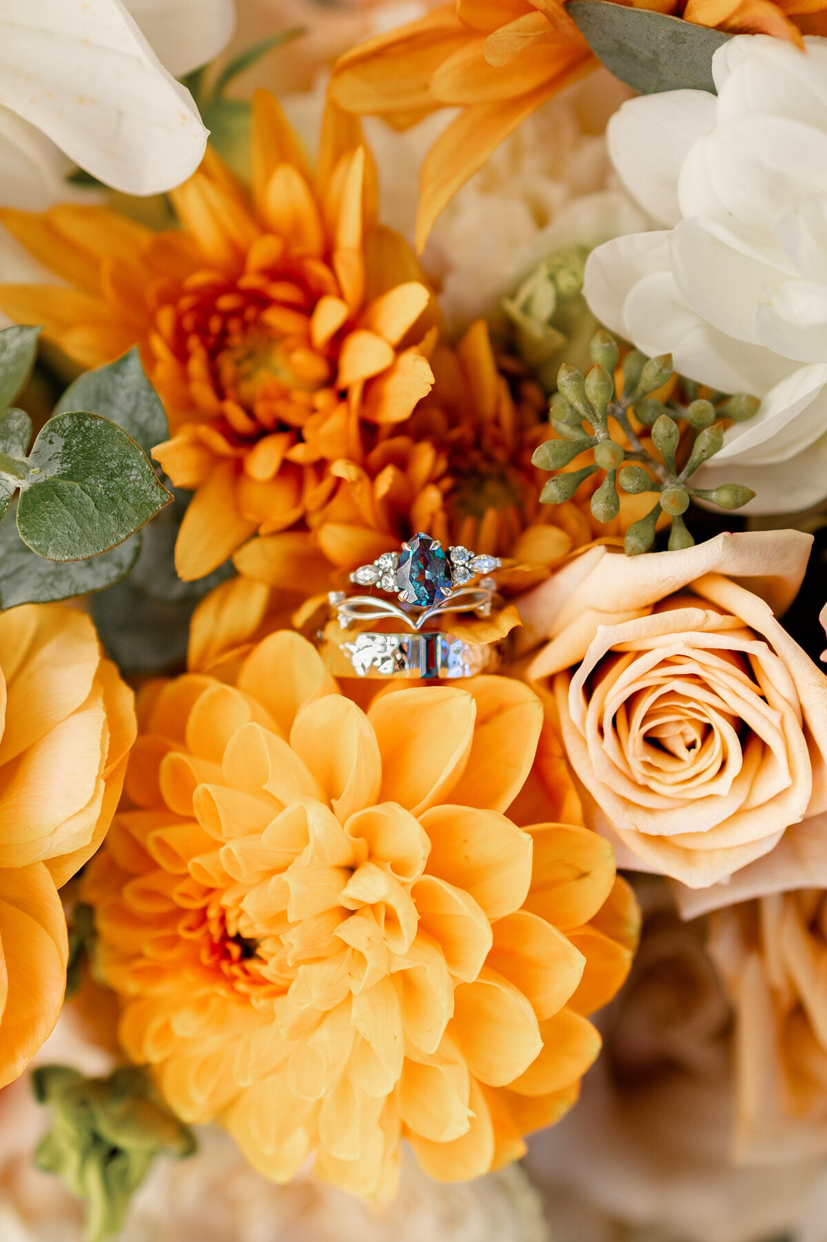 A beautiful and unique set of wedding rings are surrounded by an array of orange flowers