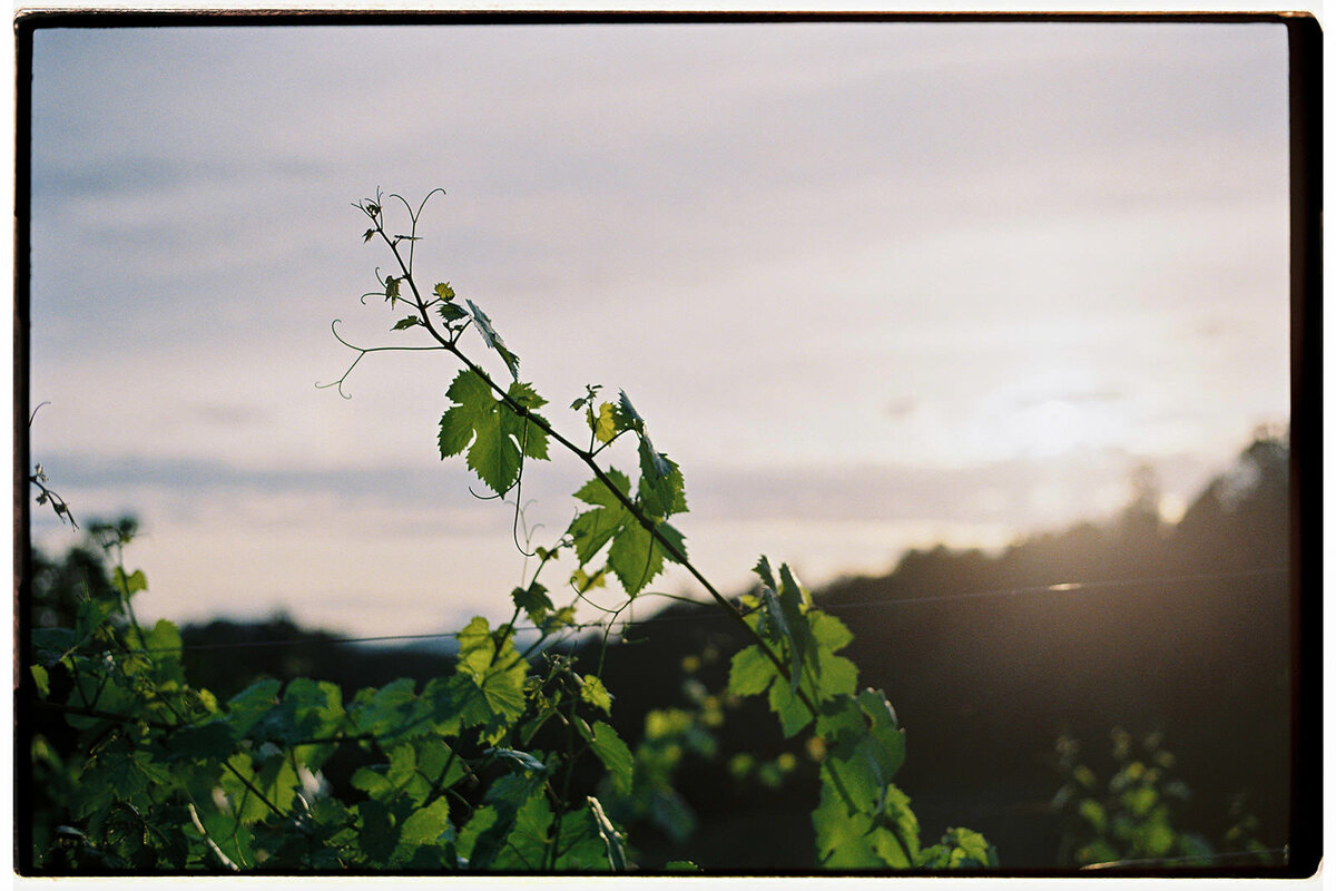 Film-wedding-photography-spain324