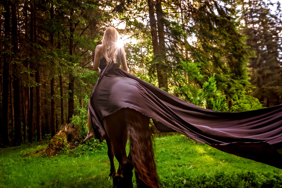 seattle-equine-photographer-3