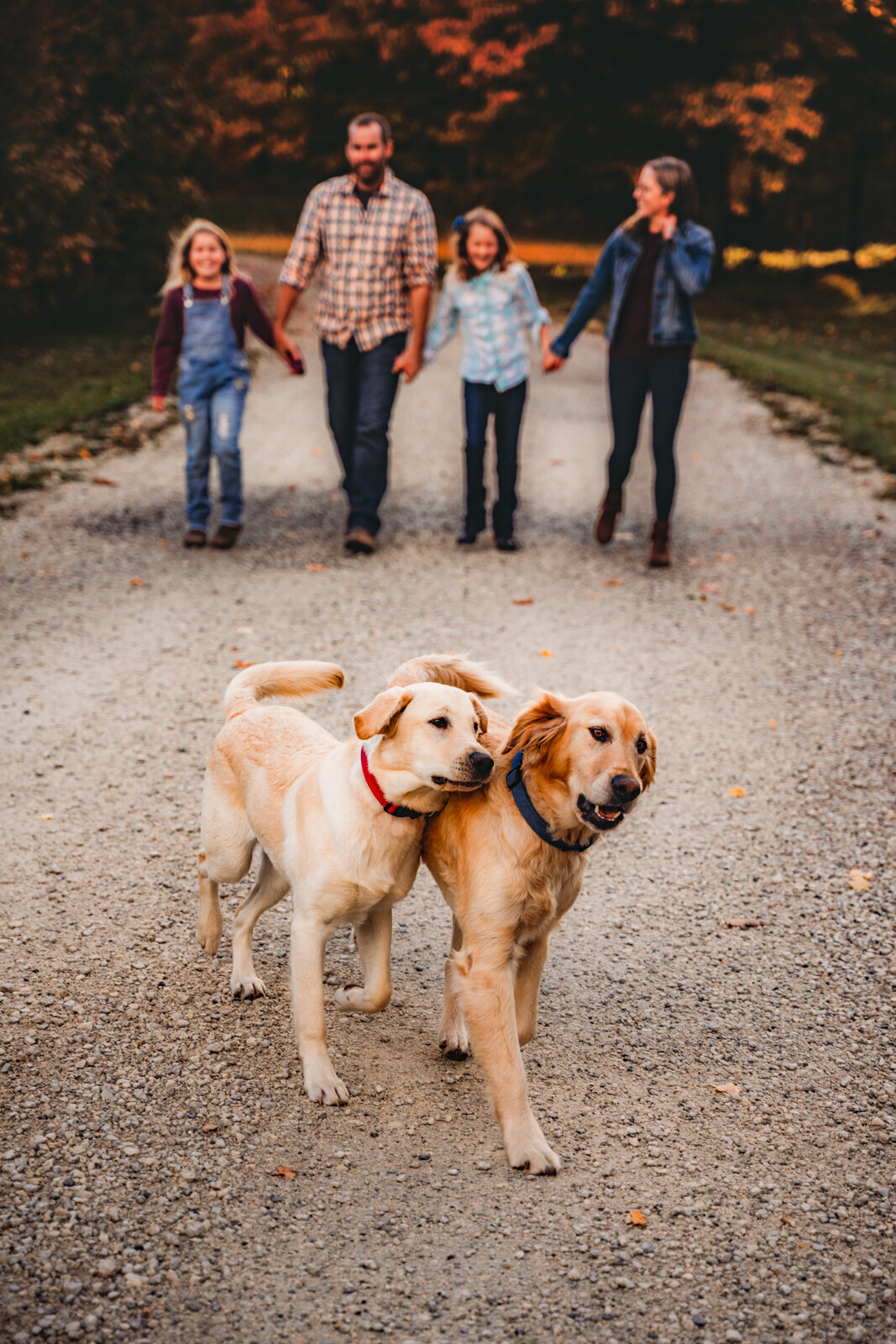 grey-bruce-owen-sound-photographer-Family-14