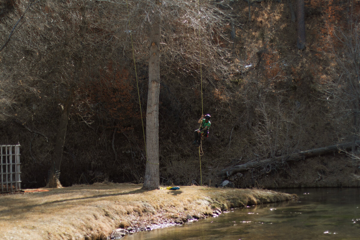 climbing-arborist-belle-fourche-black-hills