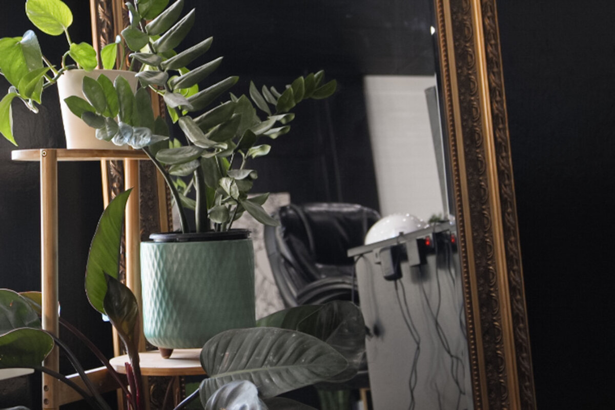 A tiered stand with plants on it, infront of a tall mirror